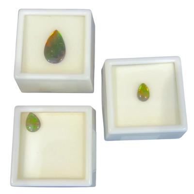 Ammolite Gemstones