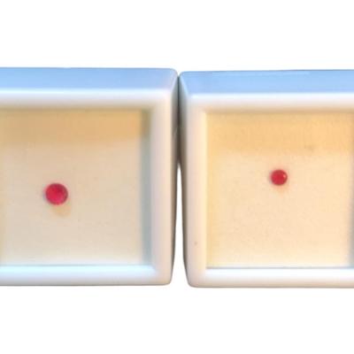 .10CT And .20CT Bixbite MM Varies