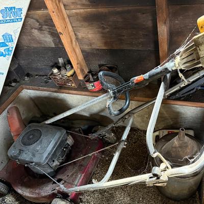 Briggs And Stratton Push Mower And A Stihl  Weed Whacker 
