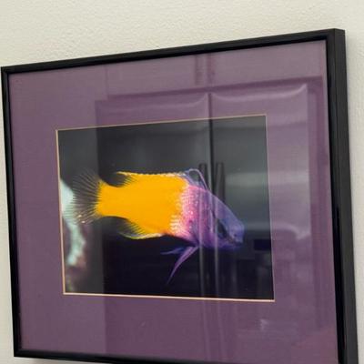 Sale Photo Thumbnail #3