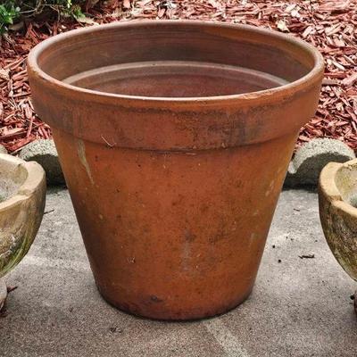 Terracotta Pot (1) + Concrete Planters (2)