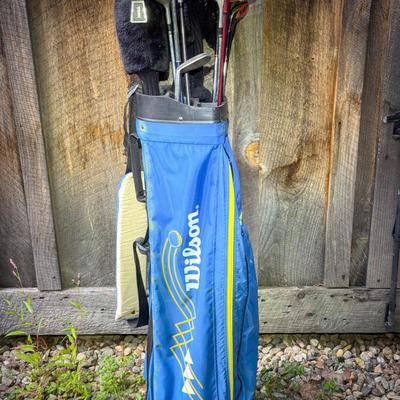 Wilson Golf Bag with Mixed Club Set – TaylorMade, Ping & More
