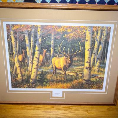 Professionally Framed Elk Print