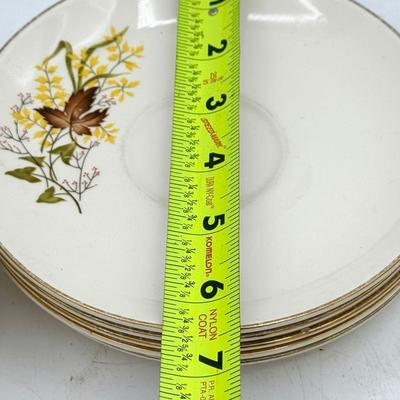 (9) vintage Taylor, Smith & Taylor "Leaf O' Gold" Plates & (4) Saucers 