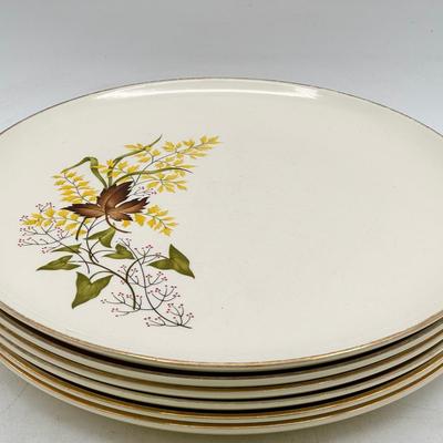 (6) vintage Taylor, Smith & Taylor "Leaf O' Gold" Dinner Plates