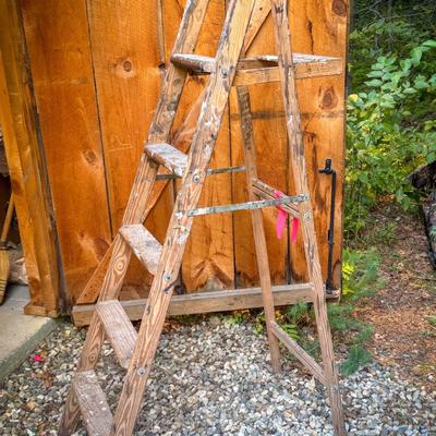 Wood Painters Ladder