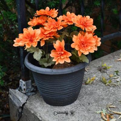 Sale Photo Thumbnail #695: 696 12 back yard 23)