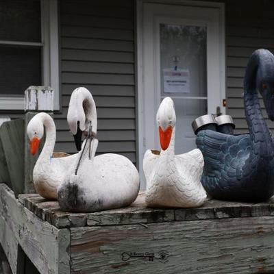 Sale Photo Thumbnail #683: 683 12 back yard 10)