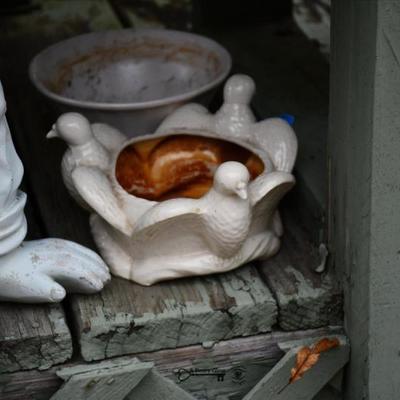 Sale Photo Thumbnail #692: 692 12 back yard 19)