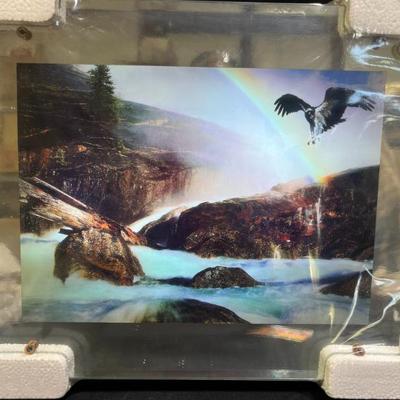 Sale Photo Thumbnail #15