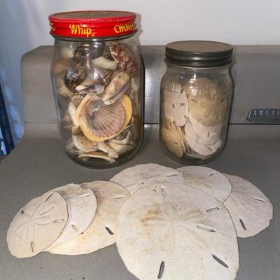 Shells