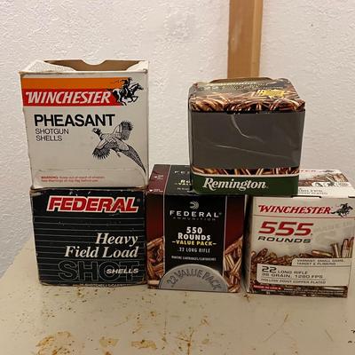 .22 and Shells