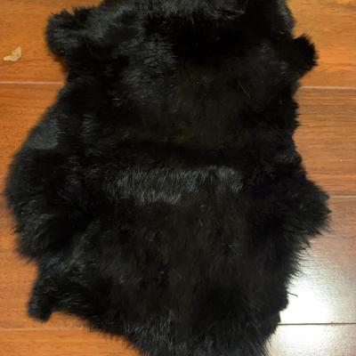Unknown Fur