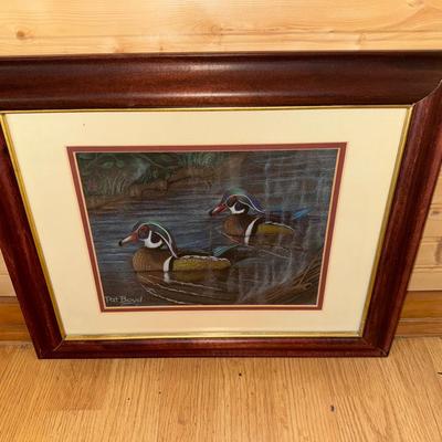 Wood Duck By Pat Boyd