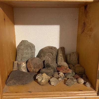 Rocks + Fossils 
