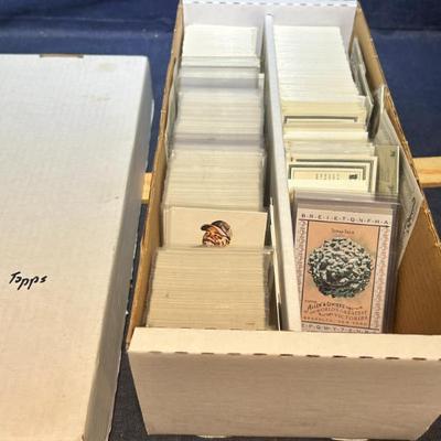 Sale Photo Thumbnail #182