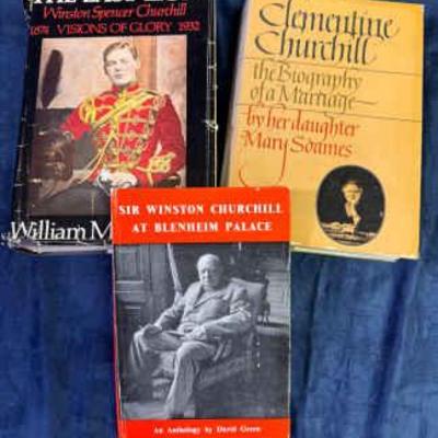 Collection of churchill books
