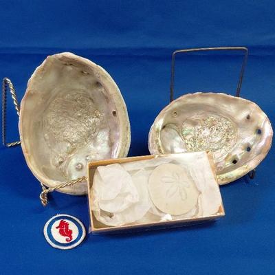 Large abalone seashells and sea themed items
