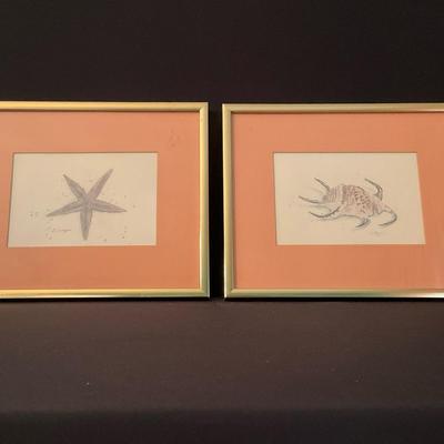 Gold Framed Shell Prints 