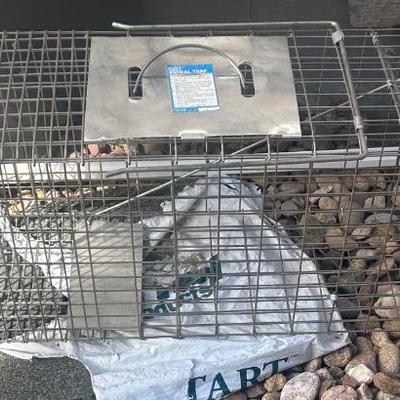 Animal Trap