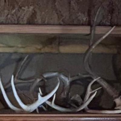 Deer Sheds 