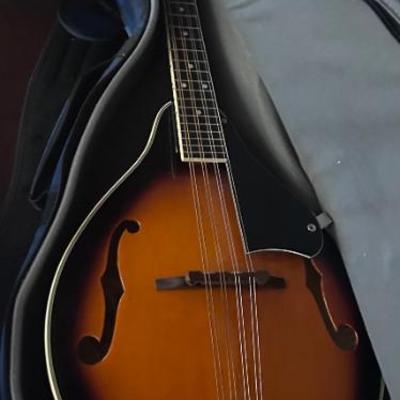 Mandolins 