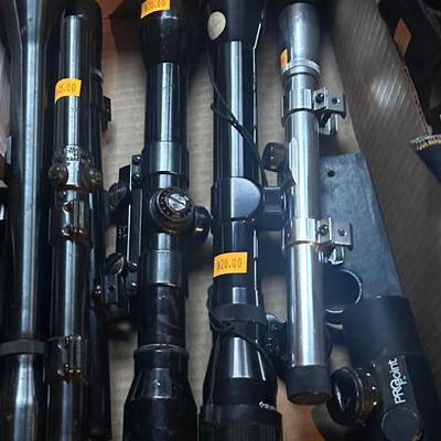 Gun Sites 
