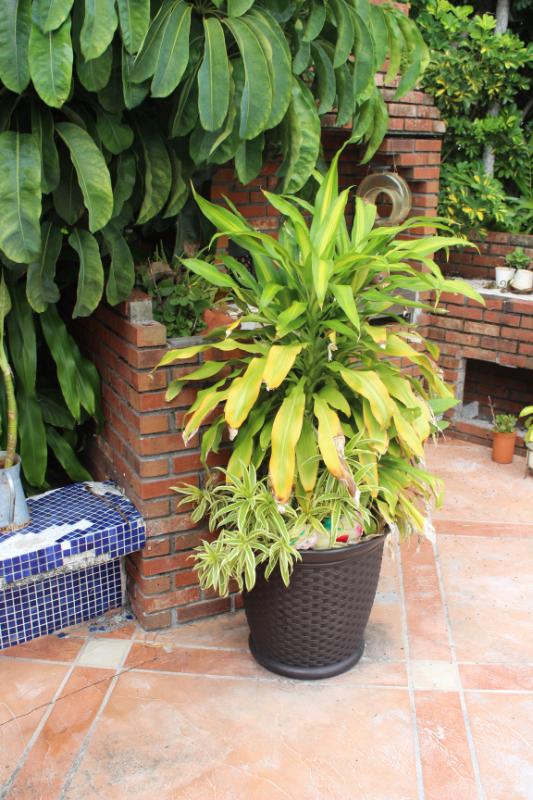 Sale Photo Thumbnail #168