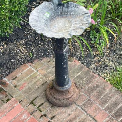 Bird Bath