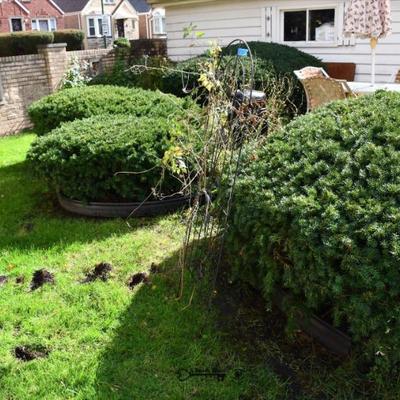 Sale Photo Thumbnail #679: 678 back yard