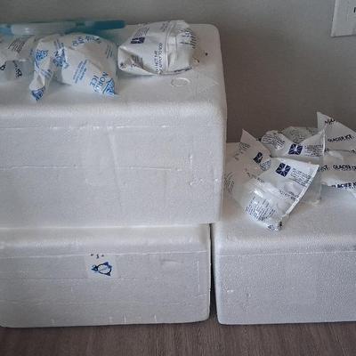 Styrofoam Coolers/ice Packs