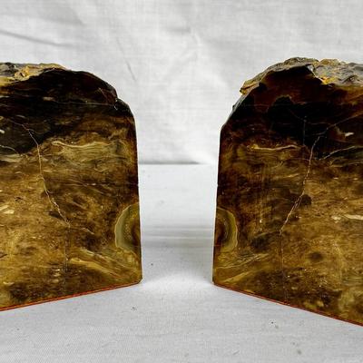 Petrified Wood Bookends 