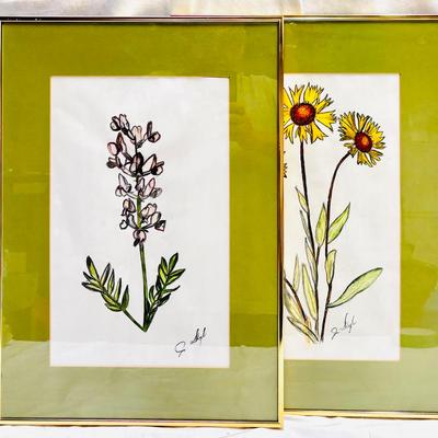 Framed Botanical Artwork by J. Dyl