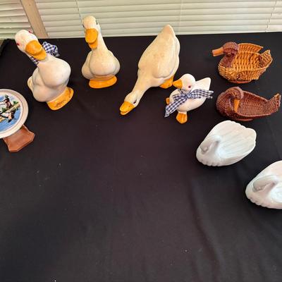 Swans, Ducks & Geese