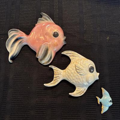 Cute Fish