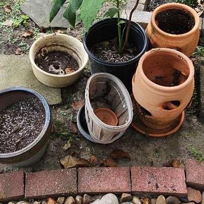Succulent Planters And More.