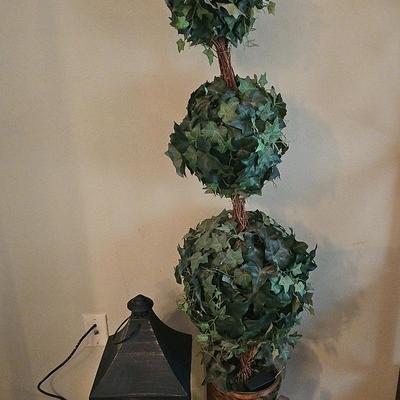 Topiary And Lantern 