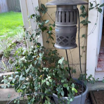 Dynatrap Bug Zapper And Plant