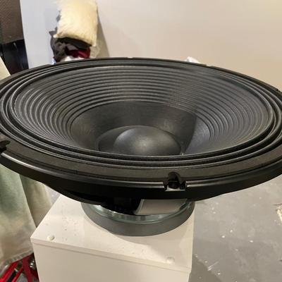 Large Speaker