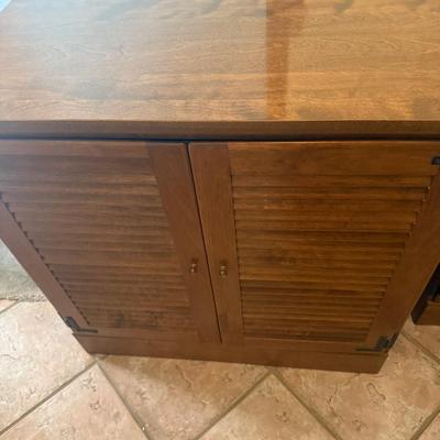 Storage Cabinet 30w 21 D 30 T - This is 2 of 2