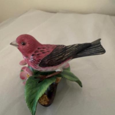 Lenox Purple Finch