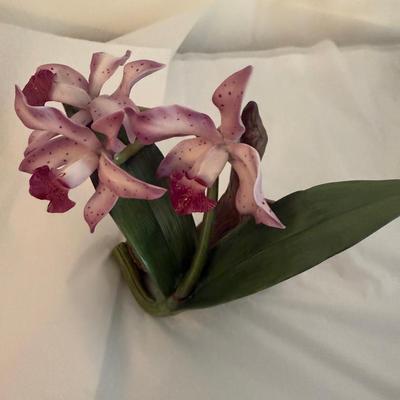 The Noble Iris By Mum