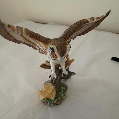 Horned Owl