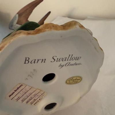 Barn Swallow By Andrea