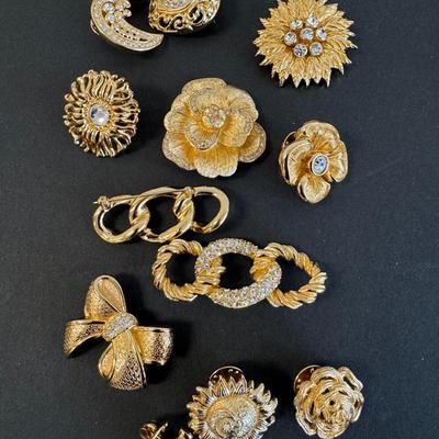 12 Costume Jewelry Pins