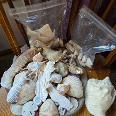 Sale Photo Thumbnail #83