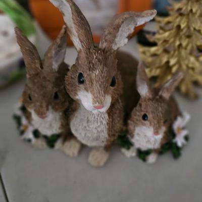 Bunnies