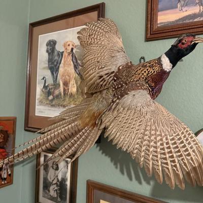Sale Photo Thumbnail #132