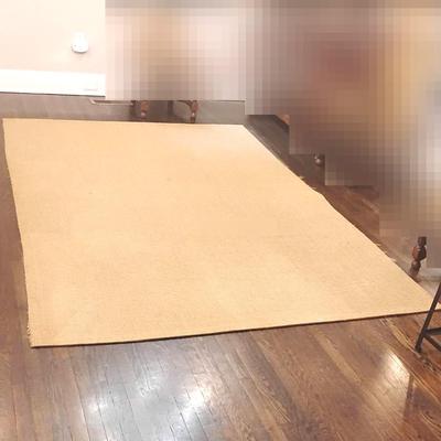 Hemp Style Beige Rug 