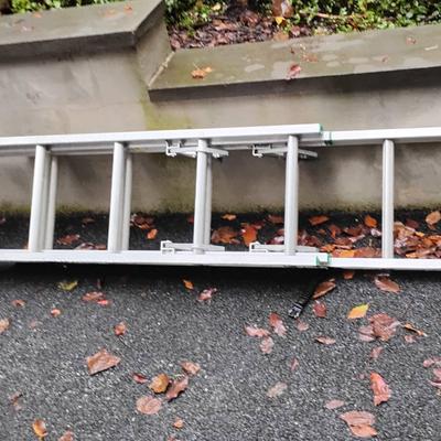 Werner Ladder 